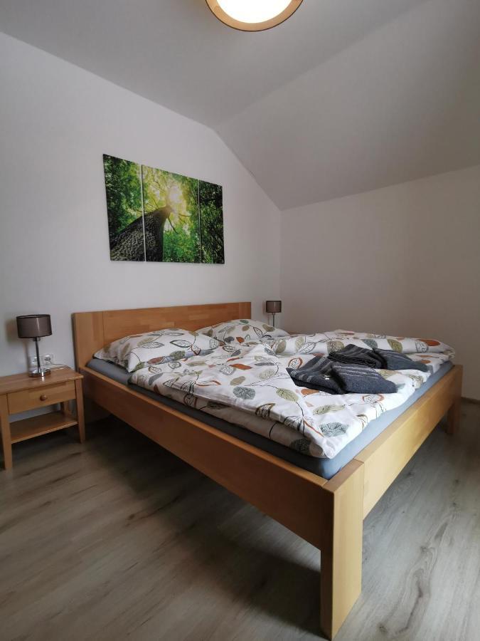 Ferienwohnung Apartman 5 Klinovec Loučná pod Klínovcem Exterior foto